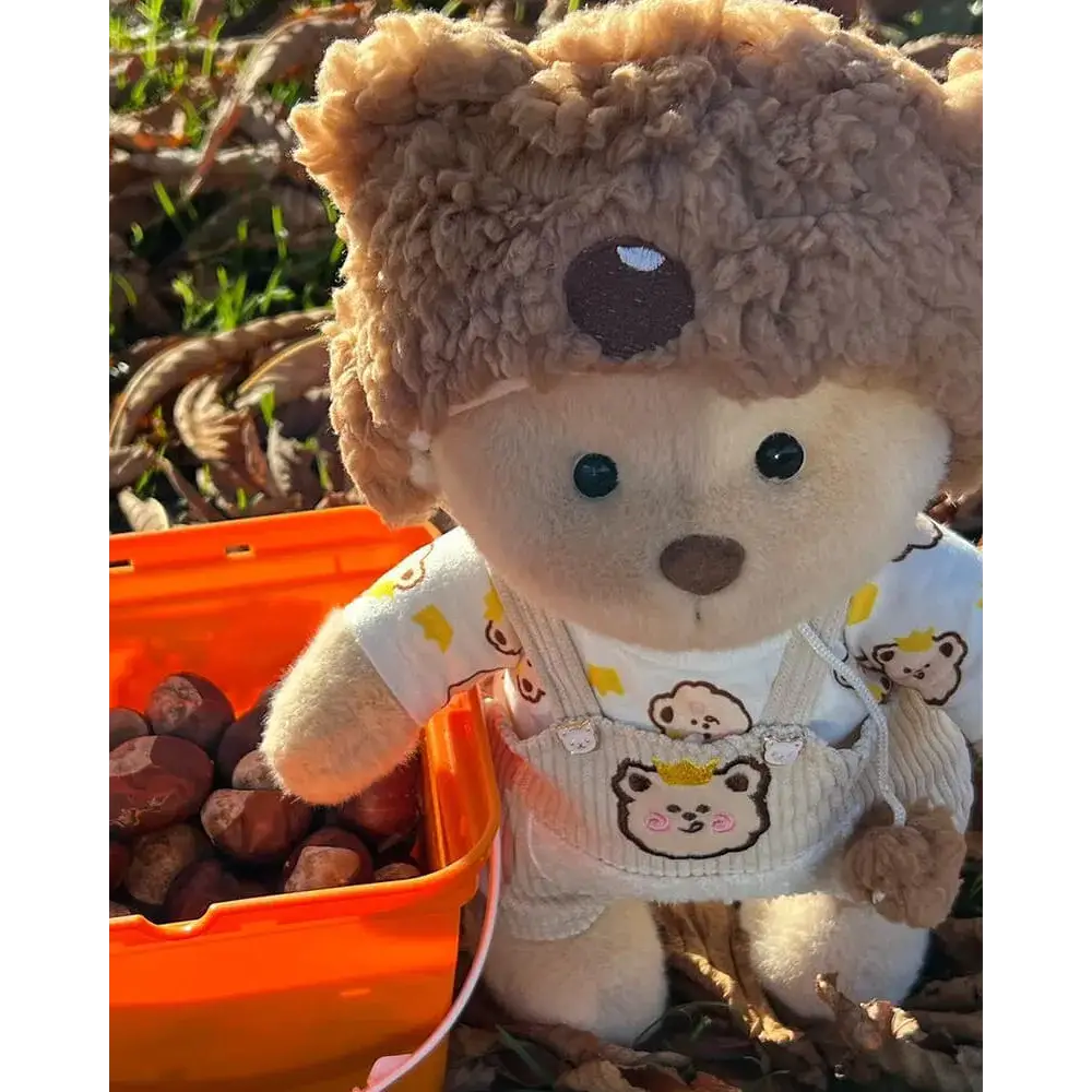 Pee-Teddy® Original - Surprey