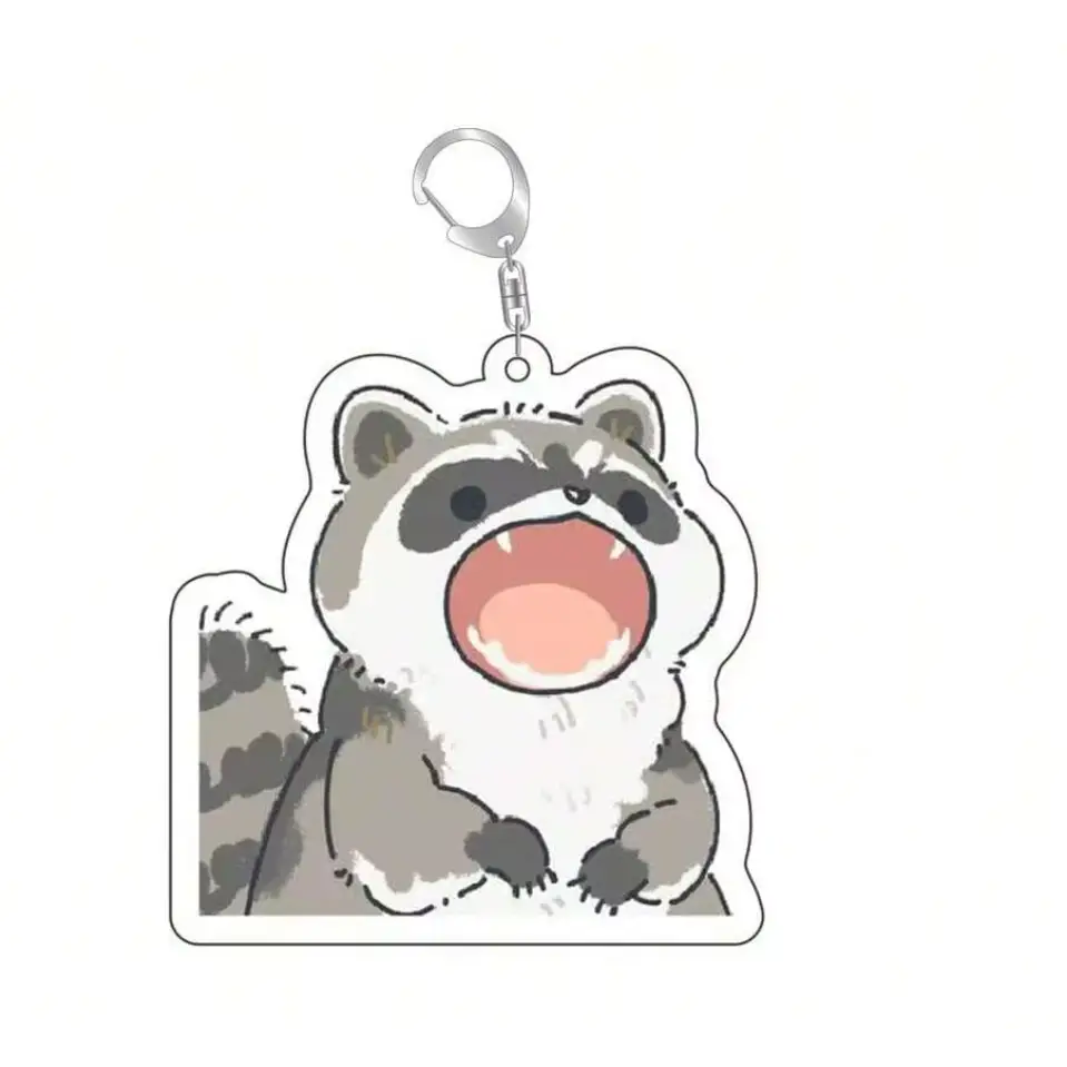 Rakun keychain - Surprey