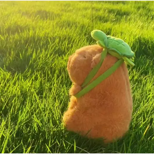 Capybara plush toy Series 2 - Surprey